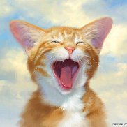 ����, 26 ���, �����������