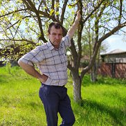 ������, 52 ����, ����������