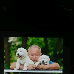 Maksim, 53 ����, ������