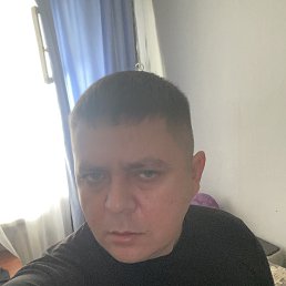 �������, 43 ����, ����������