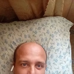 ����, 44 ����, �����