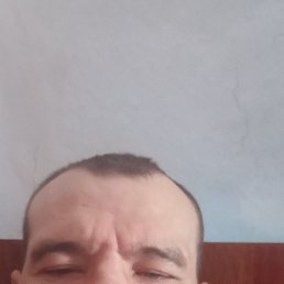 �������, 46 ���, ����